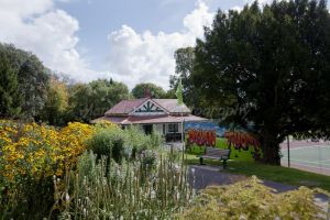 cwmdonkin park 3 sm.jpg